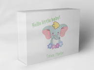 Gift box "Elephant with flowers"