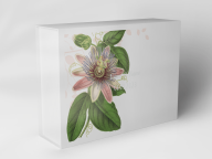 Gift box "Passionflower and Leaves"