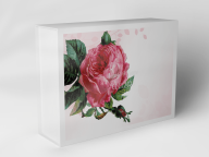 Gift box "pink rose blossom"
