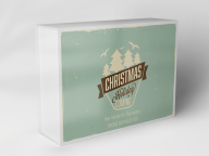 Gift box "Christmas Fir Trees and Birds"
