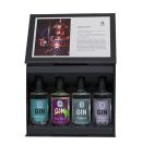 Gift set "GIN Tastingbox 4x 100ml"