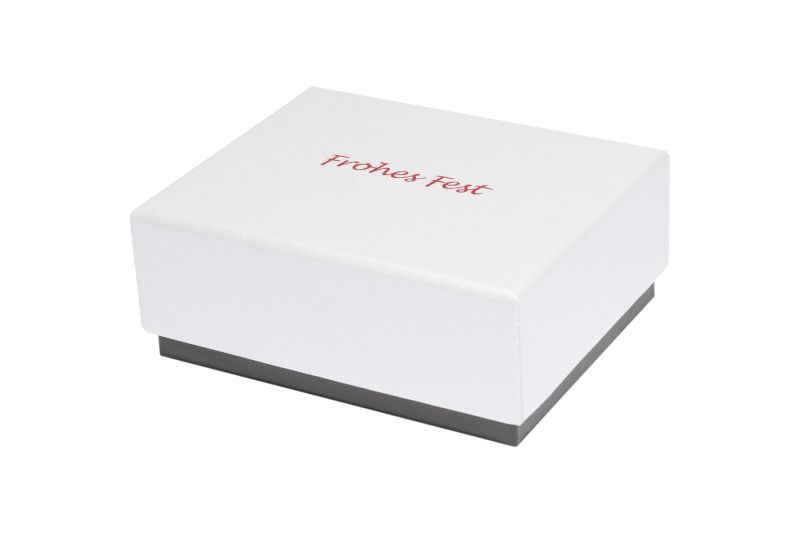 Christmas gift box "Gera" 1007FF