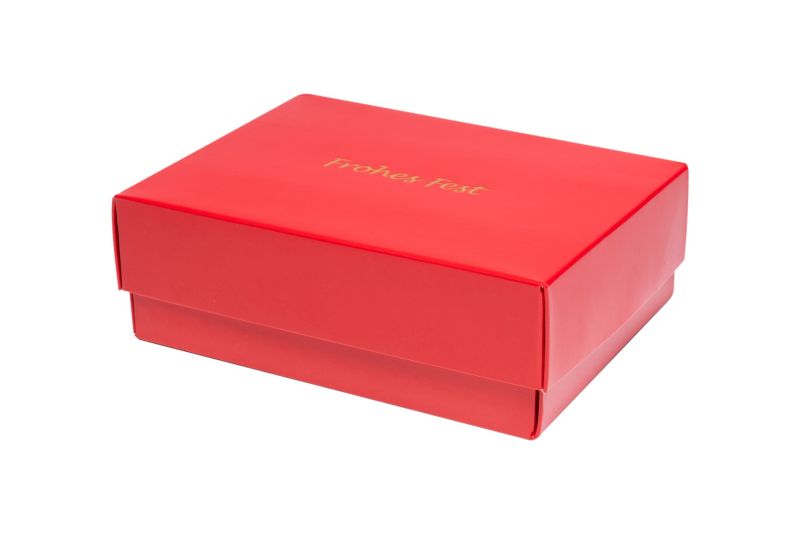 Gift box for Christmas "Pouring" 5105FF15