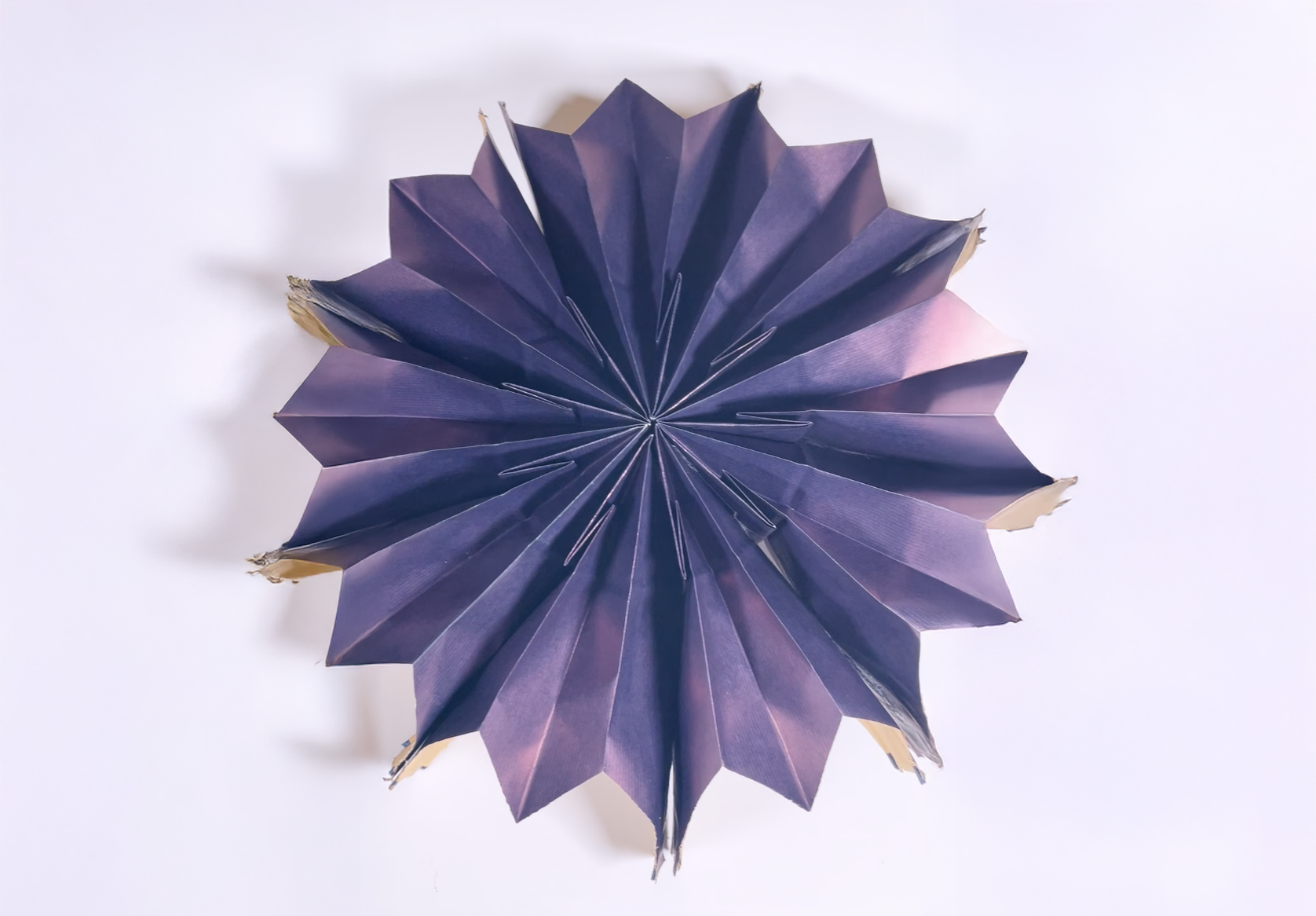 Fan-folded purple gift box with golden details